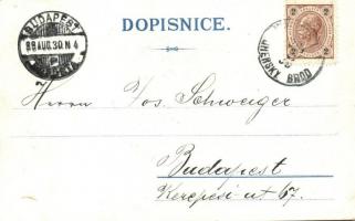 1899 Uhersky Brod, Magyarbród; Klaster Dominikánsky, Radnice, Pansky dum / Dominican monastery, town...