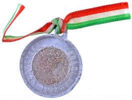 1899. "Aradi Nemzeti Szövetség / 1849-1899 Október 6. - Arad" Al emlékérem, benne aradi ho...