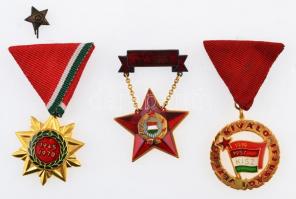 ~1970. "Kiváló Ifjúsági Vezető" aranyozott, zománcozott fém kitüntetés nem eredeti tokban ...