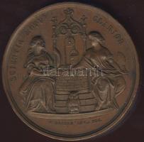 1865. "Pozsony-Magyar Orvosok és Természetvizsgálók..." Br plakett szign.: Seidan T:2/3+ k...