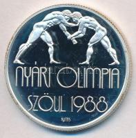 1987. 500Ft Ag "Nyári Olimpia - Szöul 1988" T:PP
Adamo EM99