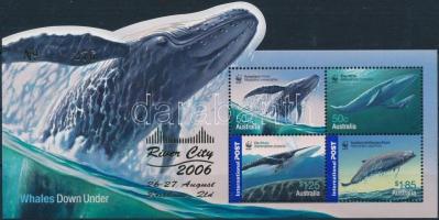 WWF; Whale overprinted block, WWF; Bálna felülnyomott blokk