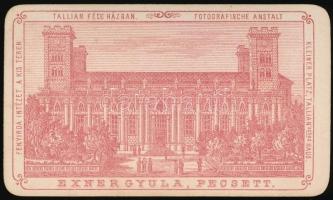 cca 1900 Hölgy egészalakos portréja, keményhátú fotó Exner Gyula pécsi műterméből, díszes hátlappal,...