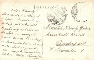 1907 Székelyudvarhely, Odorheiu Secuiesc(?); Kirándulók csoportképe / hikers group photo (kis szakad...