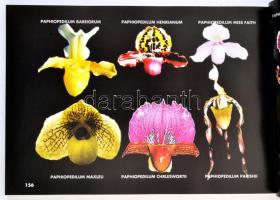 Yerecyan, Ara: Orchideák lakásunkban. Göd, 2006, Ara Agentur Kft. Papírkötésben, jó állapotban