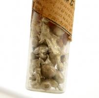 Nyers ezüst(Ag) üveg fiolában, 10 g