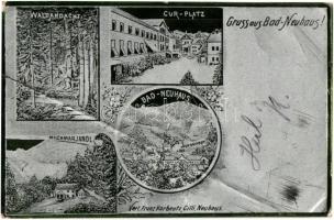 1899 Dobrna, Bad Neuhaus bei Cilli; spa, metallic floral postcard, Franz Karbeutz (fa)