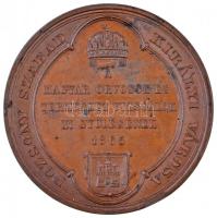 Wenzel Seidan (1817-1870) 1865. "Pozsony Szabad Királyi Város - A Magyar Orvosok és Természetvi...