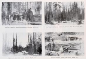 A M. Kir. debreceni 2-ik honvédhuszárezred története. 1869-1918. Összállította az ezred emlékbizotts...