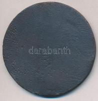 1940. "MOLSZ Szent Imre kerülete 1925-1940  - Sanctus Emericus 1930" Br plakett eredeti to...