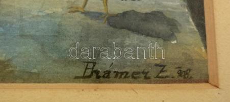 1908 Brámer jelzéssel: Baromfiudvar, papír, aquarell, üvegezett fa keretben, paszpartuban, 25x17 cm
