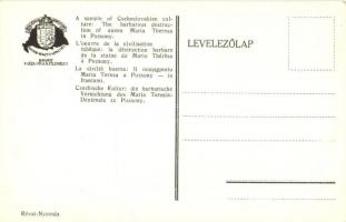 Pozsony, Pressburg, Bratislava; Mária Terézia szobor barbár ledöntése, Cseh kultúra, kiadja a Magyar...