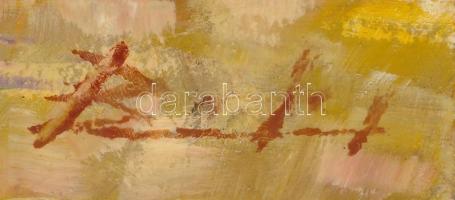 Olvashatatlan jelzéssel: Szarajevó. Olaj, farost, 25x20 cm