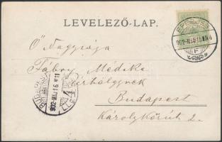 1902 Eperjes, Presov; park vadásszal és vadászkutyával / park, hunter, photo