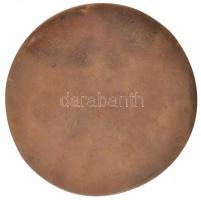 Ligeti Erika (1934-2004) DN "A könyv visz múltat a jövőbe - Babits Mihály" Br emlékplakett...