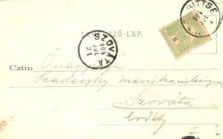 Nagybiccse, Nagy-Bittse, Bytca; Várkastély szélmalommal, Spiegel Jakab fényképész kiadása / Schloss ...