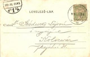 Debrecen, Városi színház lóvasúttal, omnibusz, Haranghy Gy. amateur felvétele után kiadja Telegdy La...