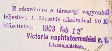 Budapest 1896. "Victoria Naphtatermelési Részvénytársaság" részvénye 100Ft-ról, szárazpecs...