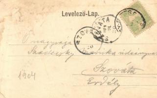 Nyitra, Nitra; Sovánka Testvérek cigányzenekara, Sovánka Nándor / gypsy music band, Art Nouveau (EK)