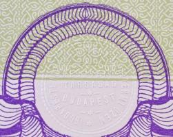 Budapest 1926. "Budapesti Idegen Otthon és Éttermi Üzem Részvénytársaság" részvénye 50P-rő...