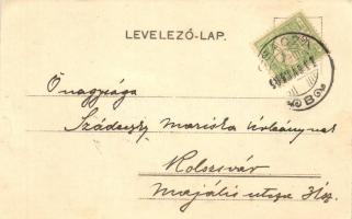 Csaca, Cadca, Caca; Fűrészgyár vasúti sínekkel, S. Lustig / saw mill with railways