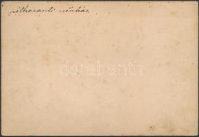 cca 1900 Pótharaszti csőszház, fotó kartonon, hátoldalán feliratozva, 11×16 cm
