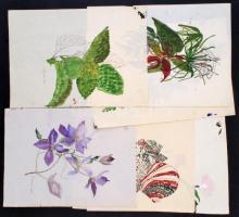 Benczúr jelzéssel: Növényekkel kapcsolatos rajzok 6db. Vegyes technika, papír, 27×20 cm