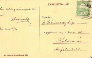 Dés, Dej; Törvényház, Rákóczi-ház, Szolnok-Doboka vármegye nemzeti színháza, Demeter és Kiss könyvny...