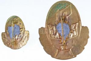 ~1960. "K.G.M. Tanintézetek Törzsgárda Jelvénye - 10." zománcozott jelvény és miniatűr T:2...