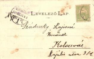 Gyergyószentmiklós, Gheorgheni; Fűrésztelep a Gyilkos-tó partján. Kiadja Kováts István fényképész / ...