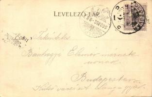 Kolozsvár, Cluj; Fő tér részlet és Belközép utca, Süketnémák intézete, Tamási Tamás és Fia és Bányai...