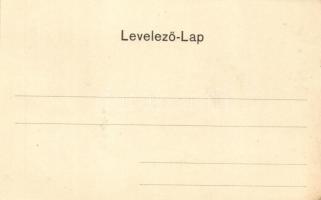 Brassó, Kronstadt, Brasov; Noa, Villasor. Verlag der Buchhandlung Ciurcu / villa alley