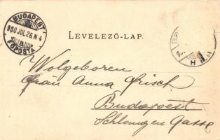 Brassó, Kronstadt, Brasov; Noa, Úri rét / Herrenwiese. Verlag von Julius Müller's Nachfolger / ...