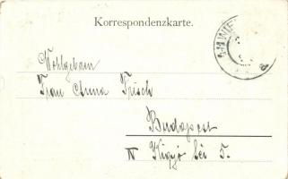 Vienna, Wien V. Gruss aus Josef Hammerschmid's Restaurant zum rothen Stern; Wienstrasse Nr. 59