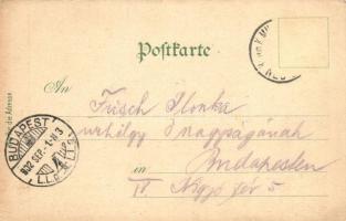 Avtovac, Kordonposten Gat., K.u.K. Militärlager, Cordons-Caserne Cemerno. Kunstanstalt Karl Schwider...