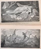 Dumas, F. G.: Livret illustré du musée du Luxembourg. Párizs, 1884, Libraire d'art L. Baschet. ...