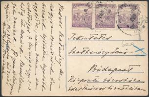 Lajtafalu, Potzneusiedl; Gróf Batthyány kastély / castle (EK)