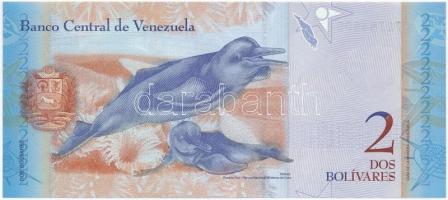 Venezuela 2007. 2B T:I 
Venezuela 2007. 2 Bolivares C:UNC