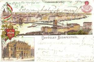Budapest, látkép az Operaházzal, Apolló szappan reklám, címer, floral, litho (b)