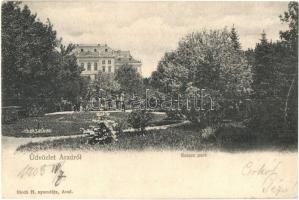 Arad, Salacz park, Bloch H. kiadása / park, garden (felületi sérülés / surface damage)