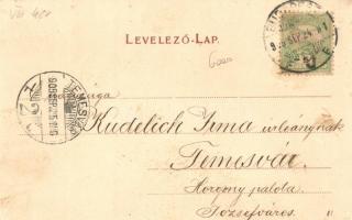 Budapest IX. Üllői út, Heinrich udvar, Salgó Sándor fényképészete, műterem, Heinrich és fia üzlete, ...