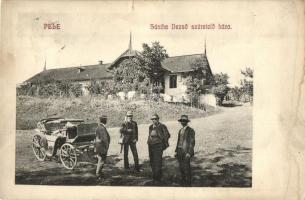 Pele, Becheni; Sántha Dezső szüretelő háza, hintó / grape harvesting house, cart (b)