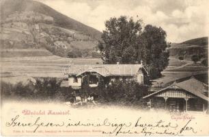 Kassa, Kosice; Lajos forrás. Vitéz A. kiadása / spring  (EK)