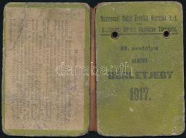 1917 Budapest Helyi Érdekjű Vasutak Rt. II. osztályú havi bérletjegy Csepel-Közvágóhíd viszonylatban, arcképes bérletigazolvány