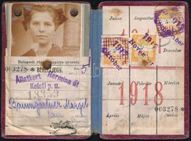 1917-18 Budapest közúti vaspálya társaság, tanuló bérletjegy (Állatkert - Hermina út, Keleti pu.), a...