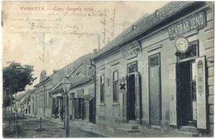 Pankota, Pancota; Csiky Gergely utca, S- Gáspár Jenő órás, Schveitzer Zsigmond tímár, Meixner János szabó üzletei, kiadja ifj. Zwonár Gyula / street, shops (ázott / wet damage)