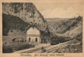 Petrozsény, Petrosani; Boli barlang-i vasútállomás gőzmozdonnyal. Hammer Ábrahám kiadása / railway station, locomotive