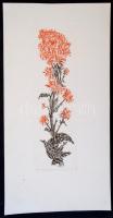 Bencze Klára (1925-): Szárazvirág. Színes rézkarc, papír, jelzett, 39×12 cm