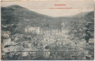 Selmecbánya, Banska Stiavnica; Látkép a Paradicsom-heggyel, hiányos leporellolap. Kiadja Grohmann / panorama view, missing leporellocard (b)