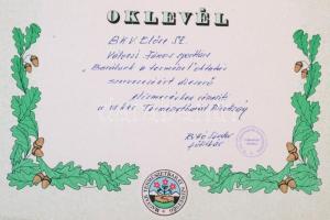 Nagy szocreál oklevél tétel. kb 30 db majdnem mind különféle